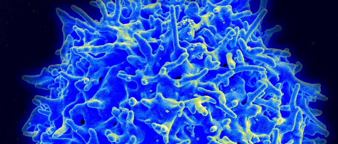 close up of cell in bright blue colour