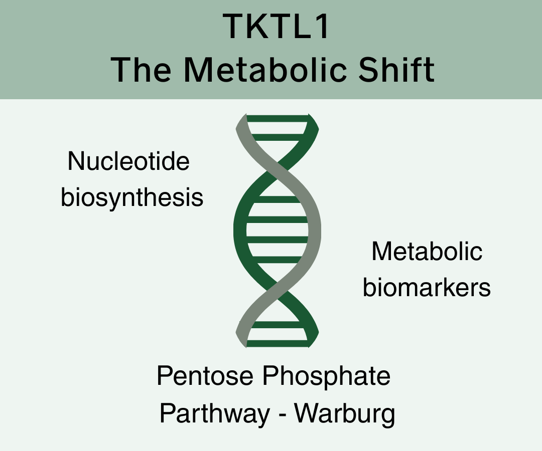 TKTL1 Metabolic Shift